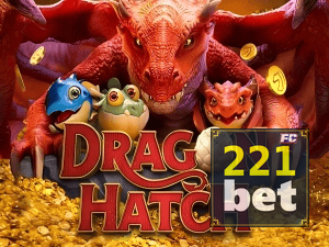 221BET PIX instantâneo Brasil - Depósito e saque em minutos 24/7
